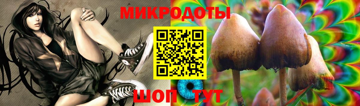 Гай  купить наркоту  Вход с VPN  Псилоцибиновые грибы GOLDEN TEACHER 